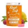 Road Trip Microdosed Mushroom Gummies Pink Lemonade 5 Day Trip Pouch Main Pink Lemonade e66b10ad 4a13 4e7c 89bb be872b5ad02f
