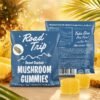 Road Trip Desert Stardust Mushroom Gummies - 2-Piece Sample Size Pineapple 4 pineapple desert stardust