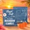 Road Trip Desert Stardust Mushroom Gummies - 2-Piece Sample Size Sunset Punch 4 sunset punch desert stardust